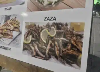 Табелка от родното море, на която пише ZAZA, стана повод за коментари в мрежата, ето и какво означава това: 3