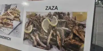 Табелка от родното море, на която пише ZAZA, стана повод за коментари в мрежата, ето и какво означава това: 6