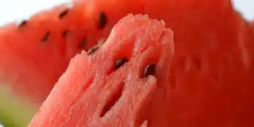 Ето какво става когато консумираме диня със семки 4