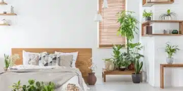 Топ 5 стайни растения, които ще ви помогнат да се отървете от мухъла у дома веднъж завинаги 2