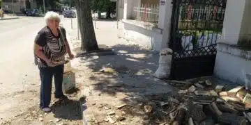 Ето каква колосална сума достигна 1 кубик дърва, хората са на мнение, че сега трябва да се заредят: 6