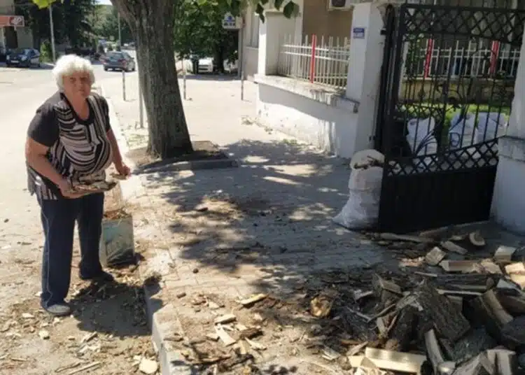Ето каква колосална сума достигна 1 кубик дърва, хората са на мнение, че сега трябва да се заредят: 1