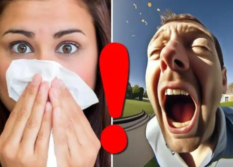 Сдържаното кихане е опасно! Защо трябва да кихате свободно и уверено: 1 Сдържаното кихане е опасно! Защо трябва да кихате свободно и уверено: 1