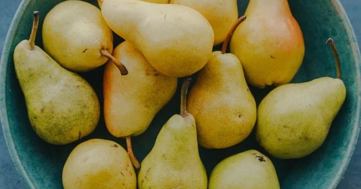 При какви заболявания е строго забранено да се ядат круши? Много зрели круши в синя керамична купа