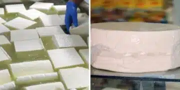 Цените на имитиращите млечни продукти у нас скачат нагоре 3