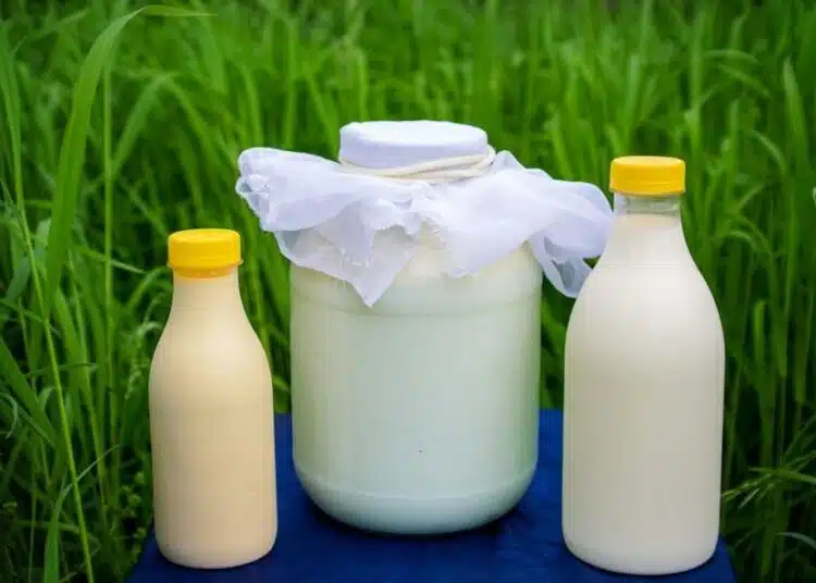 У нас – вносни млечни продукти ги продават за български ВИДЕО 1