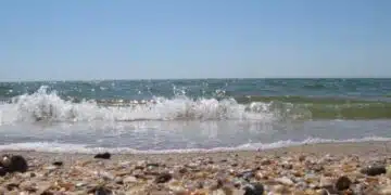 От РЗИ обявиха на кои родни плажове са открили опасни замърсявания във водата! 5