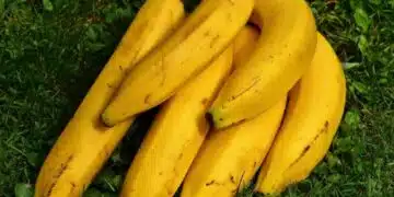 Ето кои продукти не трябва да консумирате когато сте настинали 2