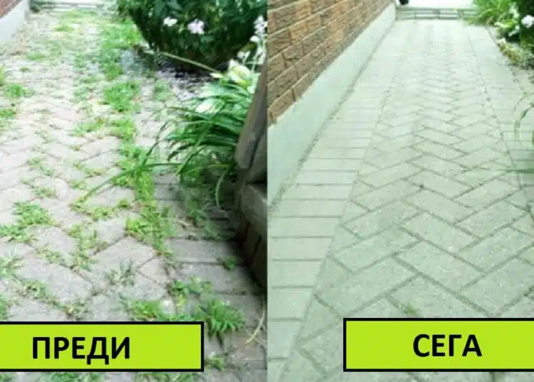 Как да се отървем от тревата между плочките: всички опции, които работят 1