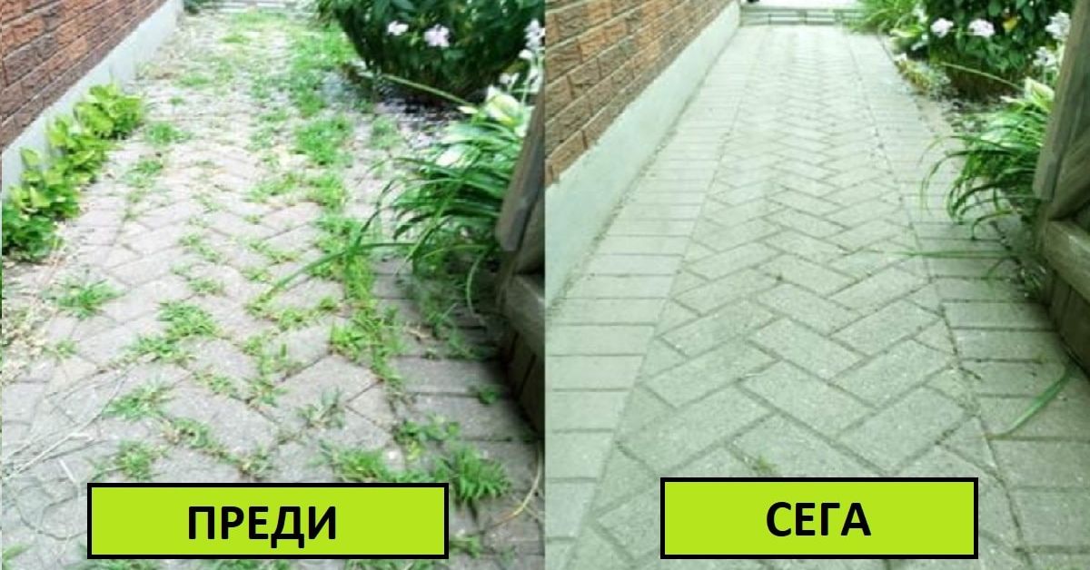 Как да се отървем от тревата между плочките: всички опции, които работят Преди и след почистване на павирана пътека от плевели.