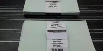С помощта на ето тези хартийки, хитрата касиерка отмъкнала 144 хилядарки от банката 14