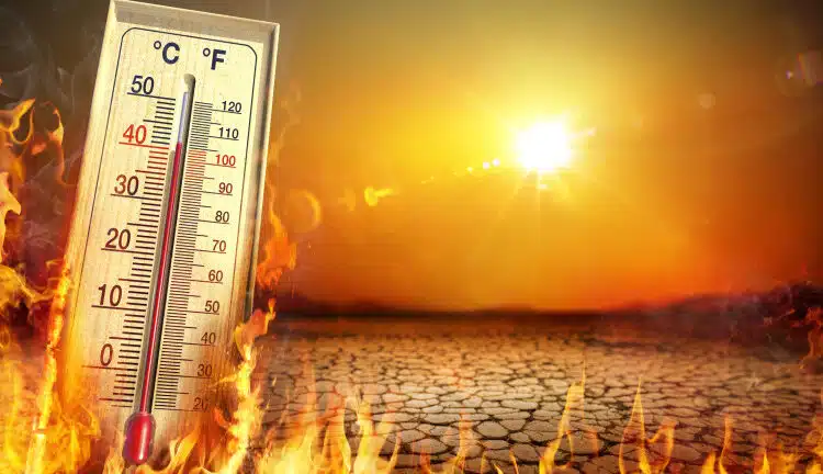 Heat Temperature - Thermometer, Warm Sun And Dry Soil - Extreme Climate - contain 3d Rendering