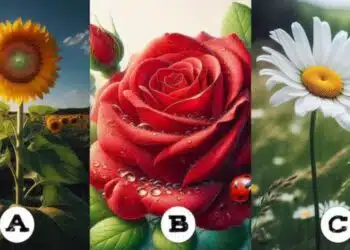 Изберете цвете и открийте ключа към вашия растеж във всички аспекти на живота 13