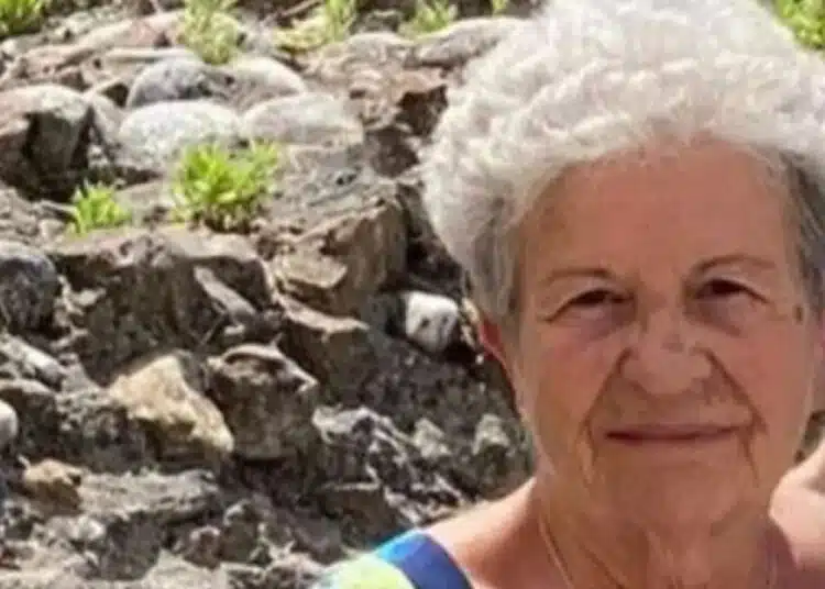 Жена на 89 години, която се изгуби в Алпите успя да оцелее по чудо, дори се „сприятели“ с лисица 1