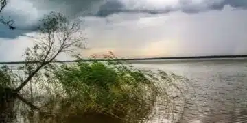 Народни знаци за 25 август 2024 г.: какво предвещава топла есен