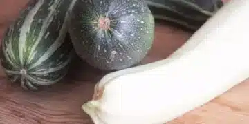 За всеки повод: пържени тиквички с ароматни гъби (Рецепта) 10