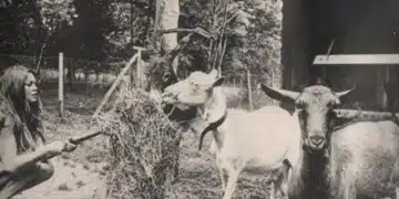 Ето кое животно слага край на кинокариерата на актрисата Брижит Бардо 14