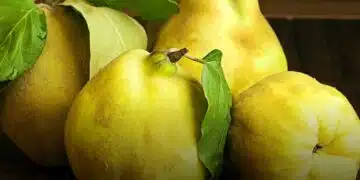 Добавете тази съставка към сладкото от дюли и то ще стане съвършено 1