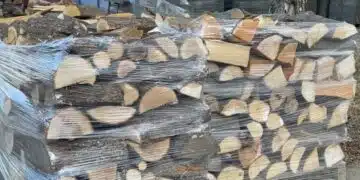 У нас дървата за огрев стават по-евтини? 2