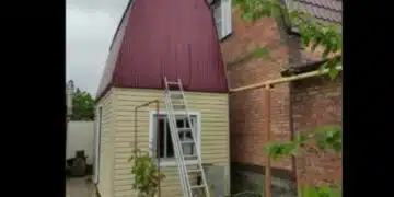 След като съседът реши да ни скрие гледката от прозореца, ние намерихме ефективно решение, одобряваш ли? 3