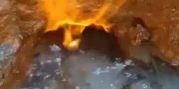 Феномен у нас привлича мнозина, помага за много болести 5