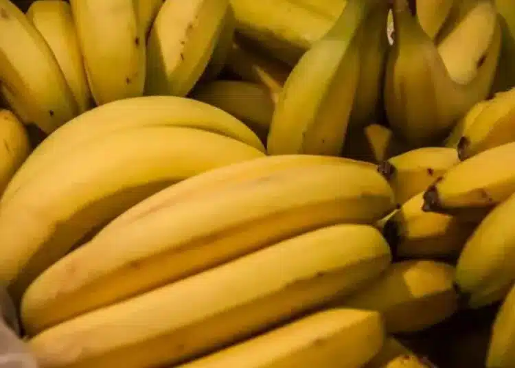 Какво да ядете, за да се ободрите: 4 храни за всеки вкус 1