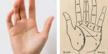 Хиромантия! Какво можете да прочетете от ръката си 1