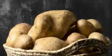Ето как да запазим картофите свежи до пролетта, без да загният или да покълнат 1