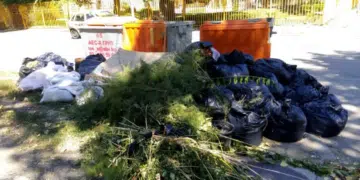 Замисляли ли сте се всъщност до колко наистина е законно изхвърлянето на боклук около кофите? Отговорът тук: 1