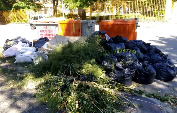 Замисляли ли сте се всъщност до колко наистина е законно изхвърлянето на боклук около кофите? Отговорът тук: 1