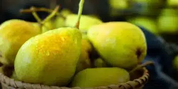 Става един път: вкусен компот от круши от моето детство (Рецепта) 15