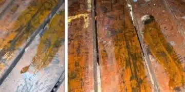 Пълен абсурд! Младо момиче се възмути заради мазане на пейки със свинска мас 2
