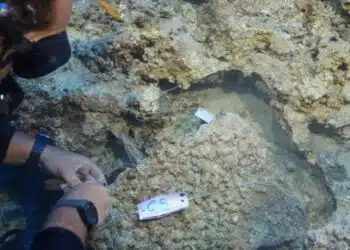 Бронзов кинжал от минойската цивилизация беше изваден от дъното на морето в Анталия. Той е на 3600 години 14