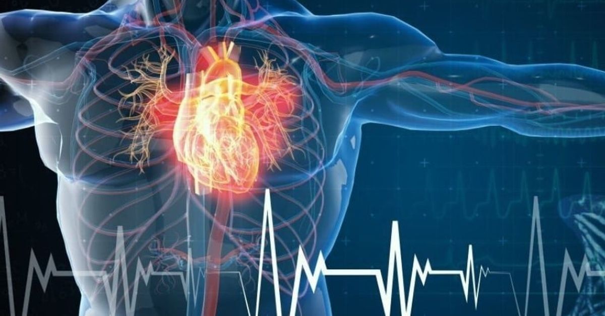 5 неща, които кардиологът съветва никога да не правите – не ги пренебрегвайте Медицинско изображение на сърце, кръвоносни съдове и ЕКГ вълна.