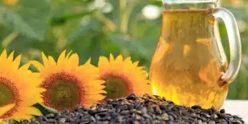 Ще скочи ли цената на олиото? 4