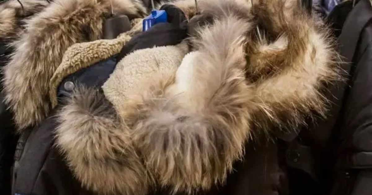 4 начина да „раздуете“ пухено яке след пране Зимни палта с пухени качулки, окачени на закачалка.