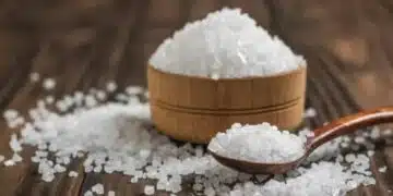 Защо солта е най-добрият естествен консервант? Анализираме механизмите за защита на продукта 13