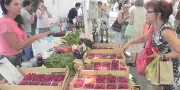 Продължава повишаването на цените на някои основни хранителни стоки у нас 9