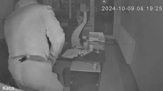 Обраха каса на „Изипей“ в столицата – всичко е заснето на камера! 2