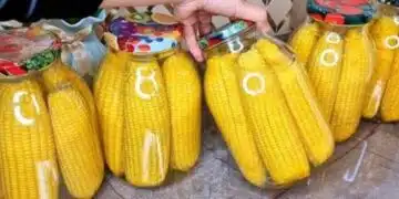 В студените дни ядем сочна и крехка царевичка – с вкус от моето детство, споделям ти топ рецептата: 1
