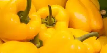 Как да приготвите необичайни пълнени чушки: заменете месото с този продукт - ще се окаже много вкусно 4