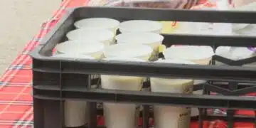У нас ферми продължават да фалират, идва ли краят на българското мляко? 2