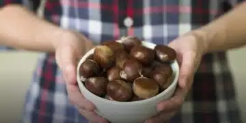 Ето как можем да съхраним кестените през зимния период 11