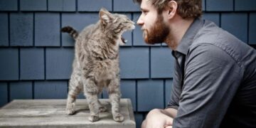 Учени със заключение: Котките наистина могат да разбират човешката реч 2