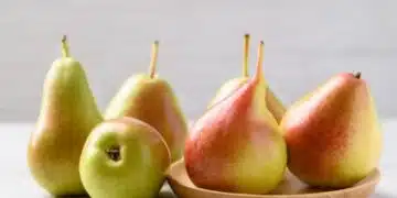 Поради каква причина диетолозите смятат крушата за уникален плод? 8