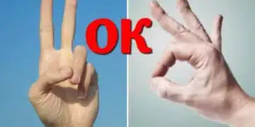 Проста тренировка на мозъка: „ОК“ и „Виктория“. Напълно положителен! 1
