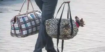 Две фрази, които ще разкрият нетактичния човек 1