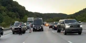 В Гърция увеличават глобите за тези определени неща в автомобила 15