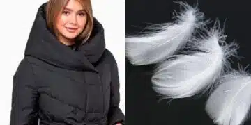 Пухените якета вече ще бъдат без пух: гигантът H&M преминава към рециклирани отпадъци 2