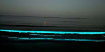 Водата в Черно море "светна": ето защо 9